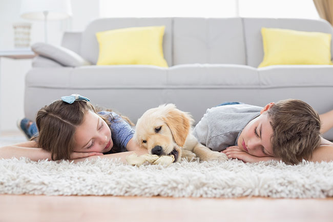Kids And Pets - Photos On Canvas - Siblings Dog Sleeping