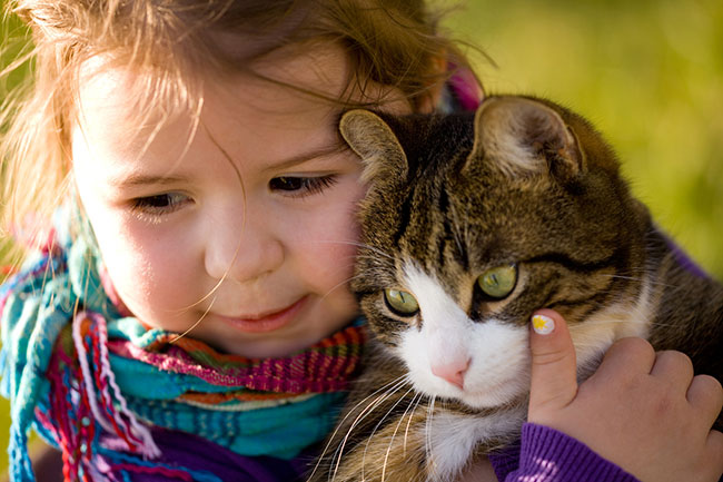 Kids And Pets - Photos On Canvas - Little Girl Cat