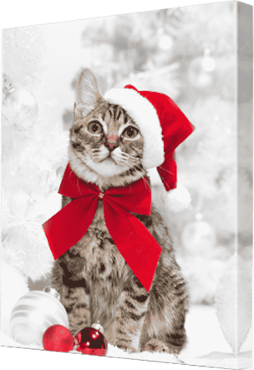 Christmas Decoration Ideas - Pet Print