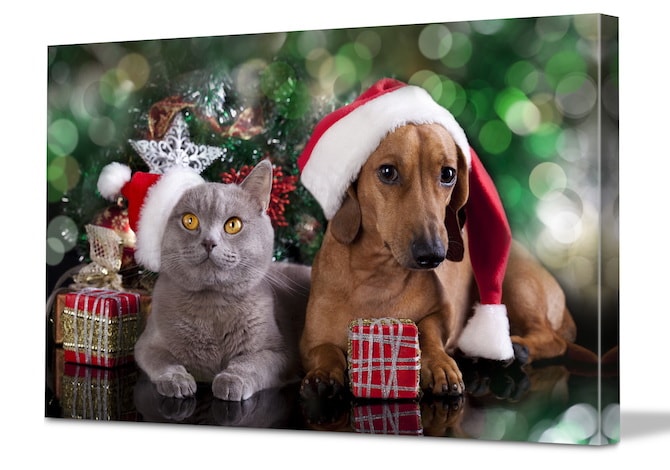 Kids Christmas Crafts - Pet Christmas Canvas