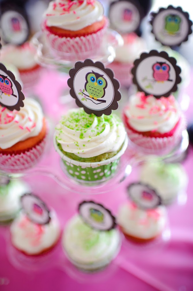 Baby Shower Themes - Owl
