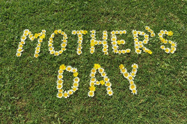Mothers Day Poems - Flower Decoration On Grass