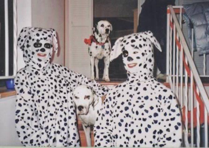 Family Photos - Pet