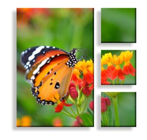 nature split canvas wall art