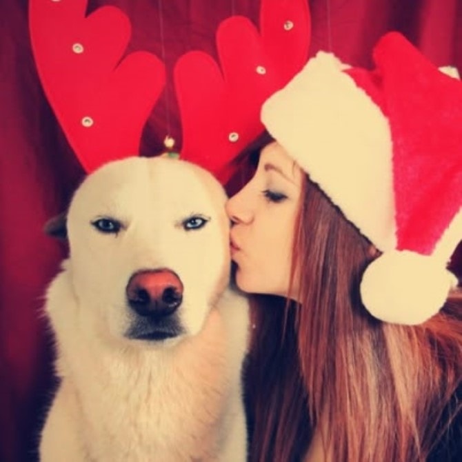 Christmas Photos - Pets