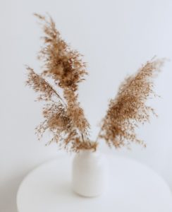 dried flowers