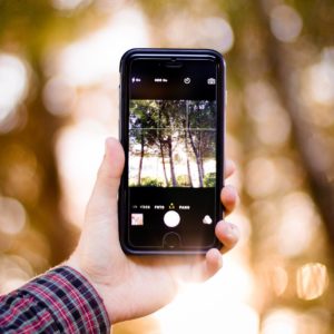 photo cropping grid