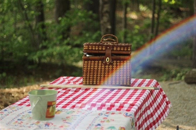 Mothers Day Activities - Picnic