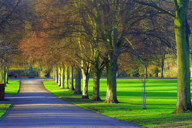 Nature Photos - Park