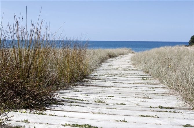 Nature Photos - Travel Perspective