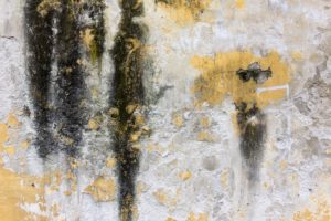 gold painting canvas