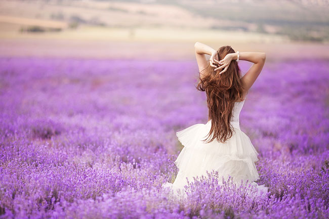 Quality Wedding Photographer - Bride Among Purple Flowers