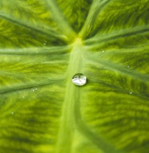 close up shot photography