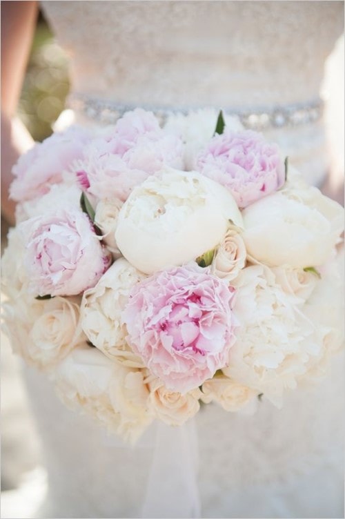 Wedding Themes - Modern Peony