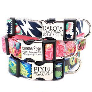 Thoughtful Gifts - Pet Collar