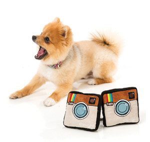 Thoughtful Gifts - Pet Toy