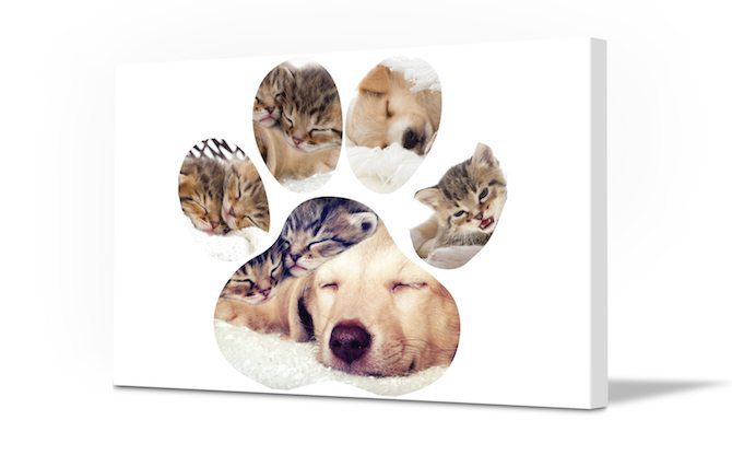 Thoughtful Gifts - Pet Portrait