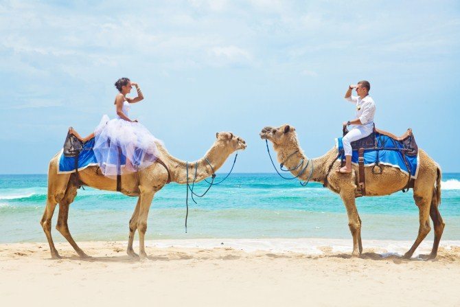 Wedding Photo Ideas - With Animals