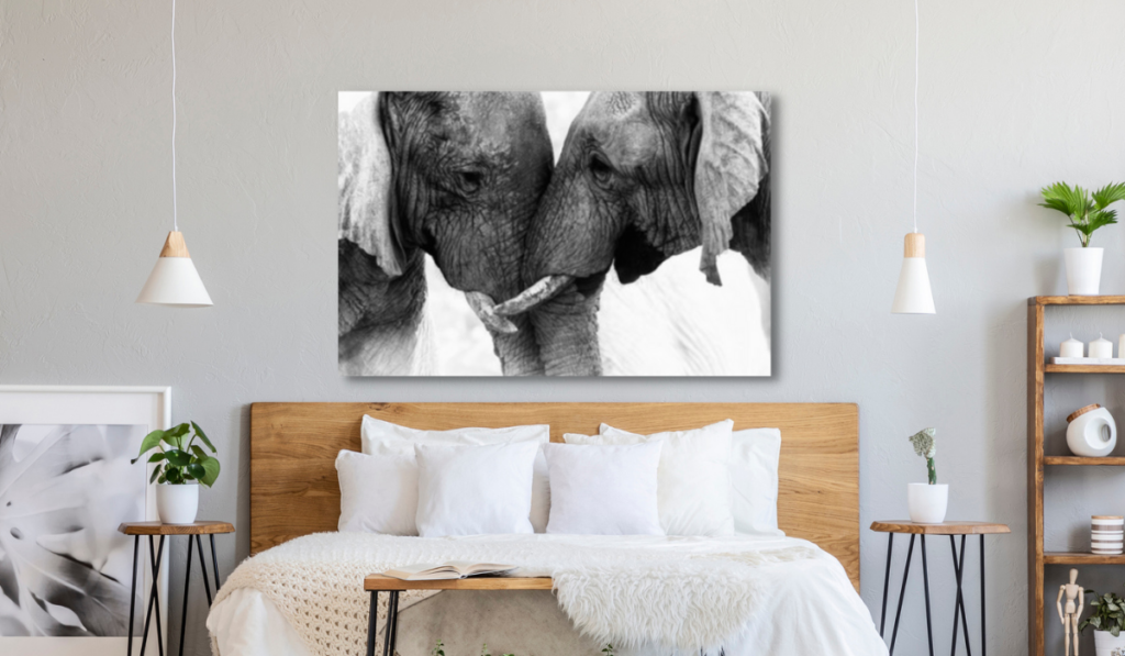 black and white nature wall art
