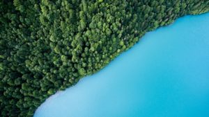 Drone photography for beginners water forest