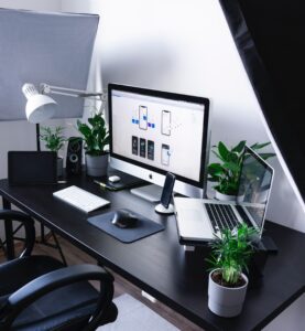 desk plants minimal