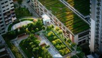 16 Best Modern Garden Design Ideas