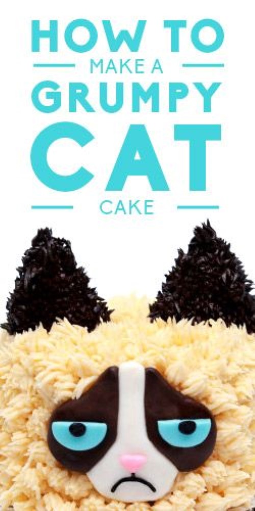 Coolest Birthday Cakes - Grumpy Cat