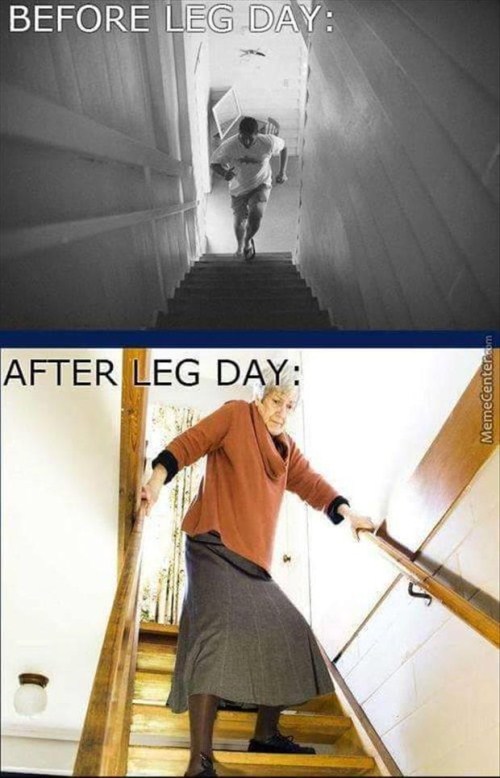 Funniest Photos - Leg Day