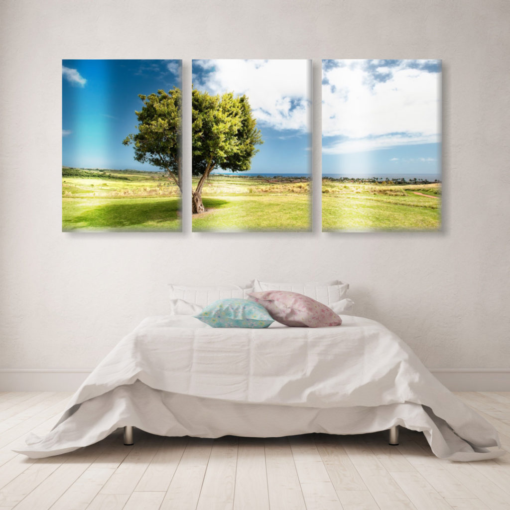 split canvas print landscape