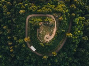 Drone photography for-beginners forest road