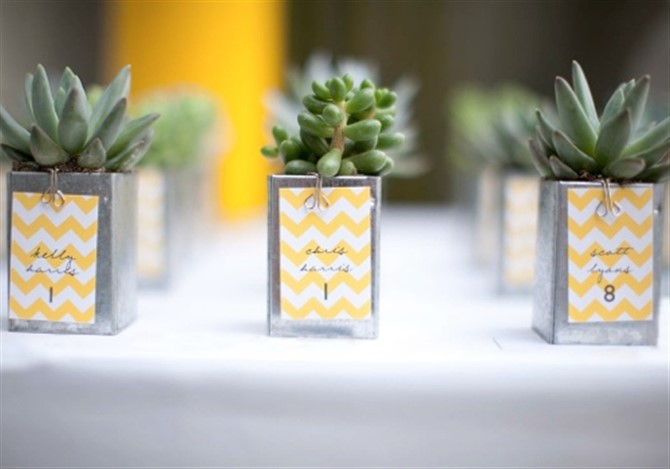 Unique Wedding Favour Ideas - Mini Succulents