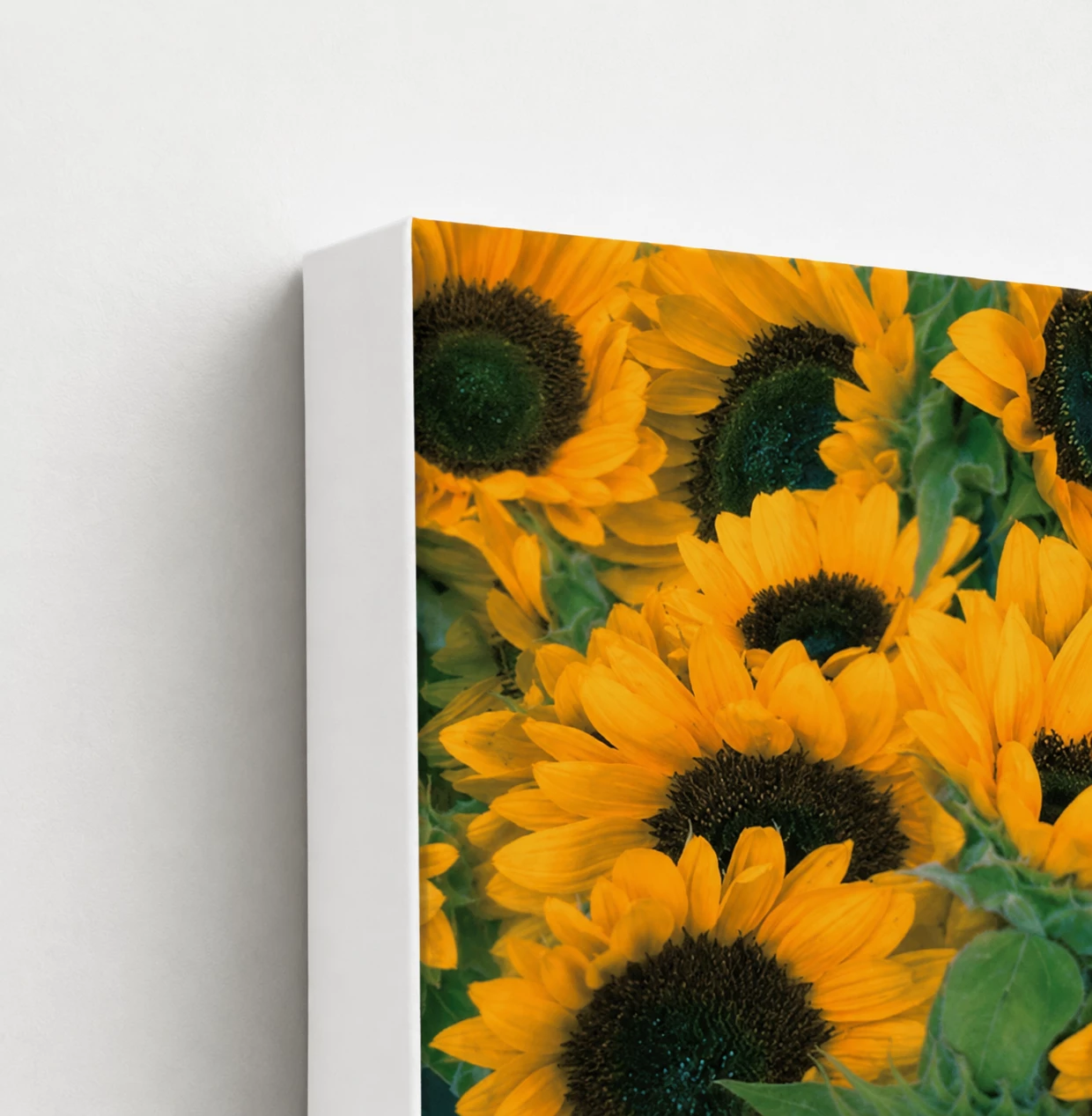 White Edge Canvas Wrap