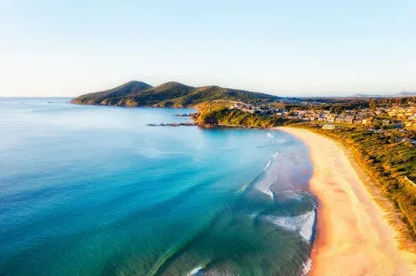 Forster