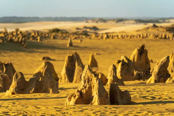 The Pinnacles Desert