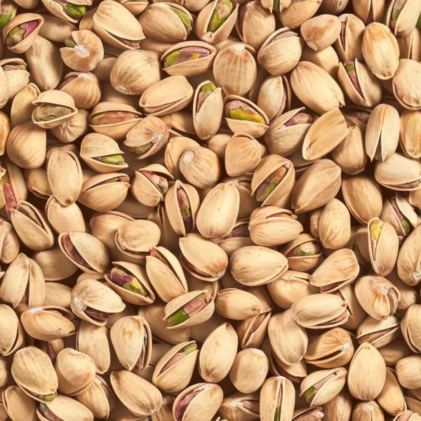 Spices and Seeds