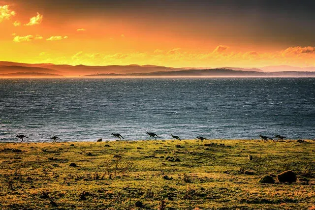 Maria Island