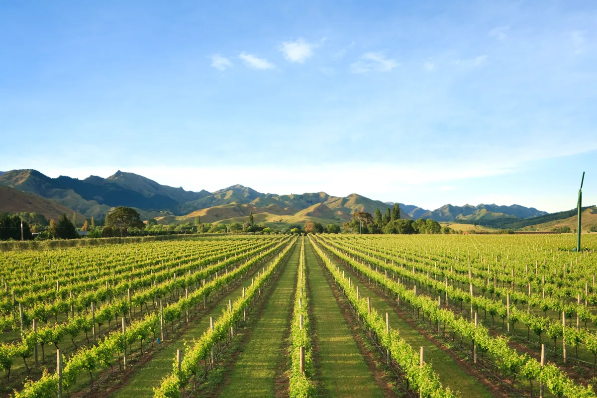 Marlborough