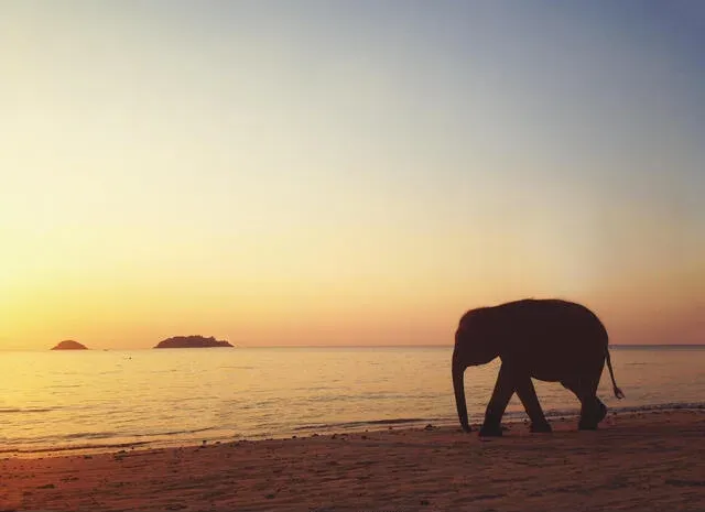 Thailand
