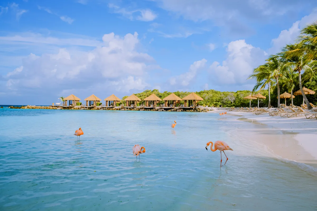 Caribbean Beaches