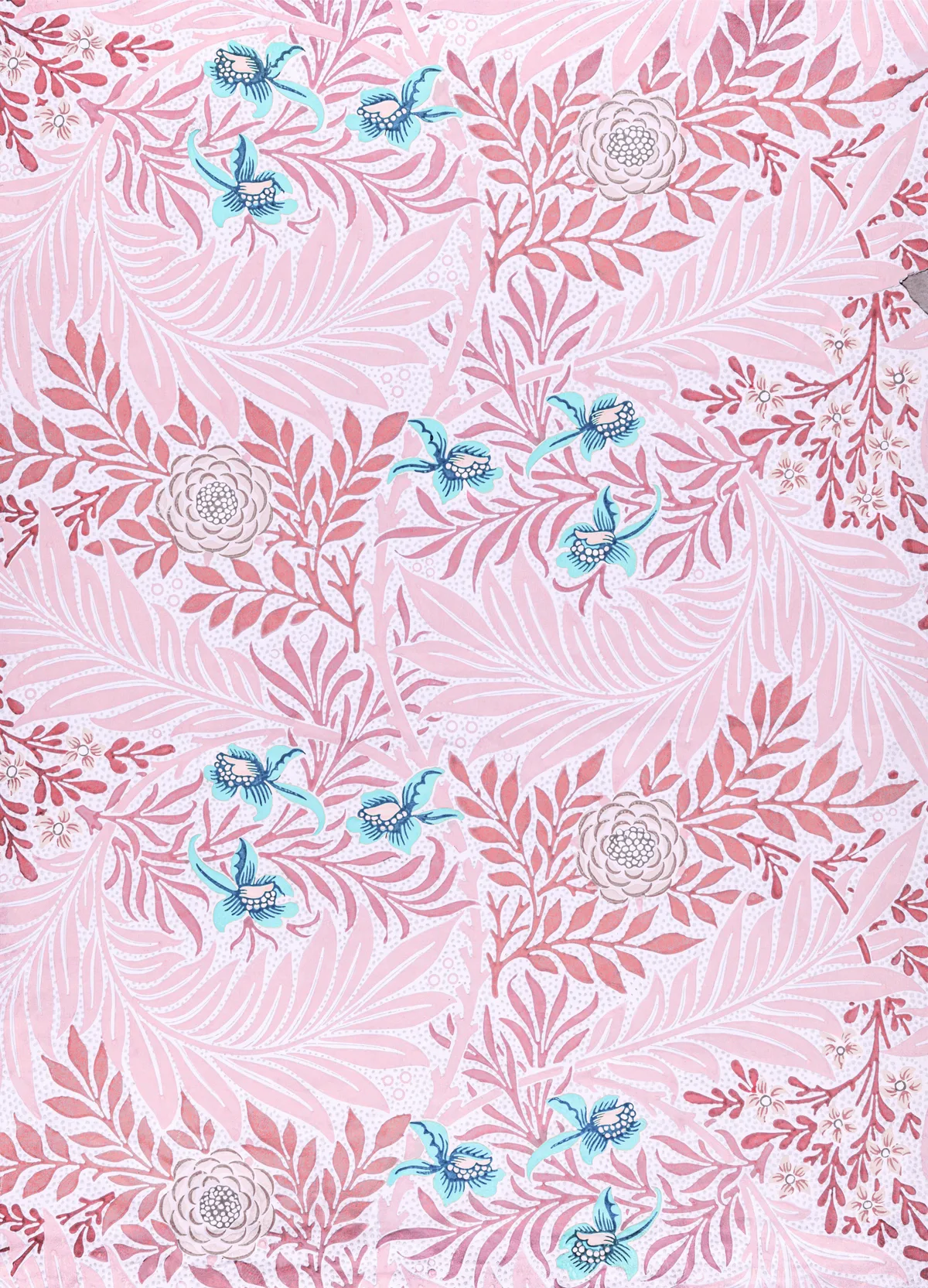 William Morris