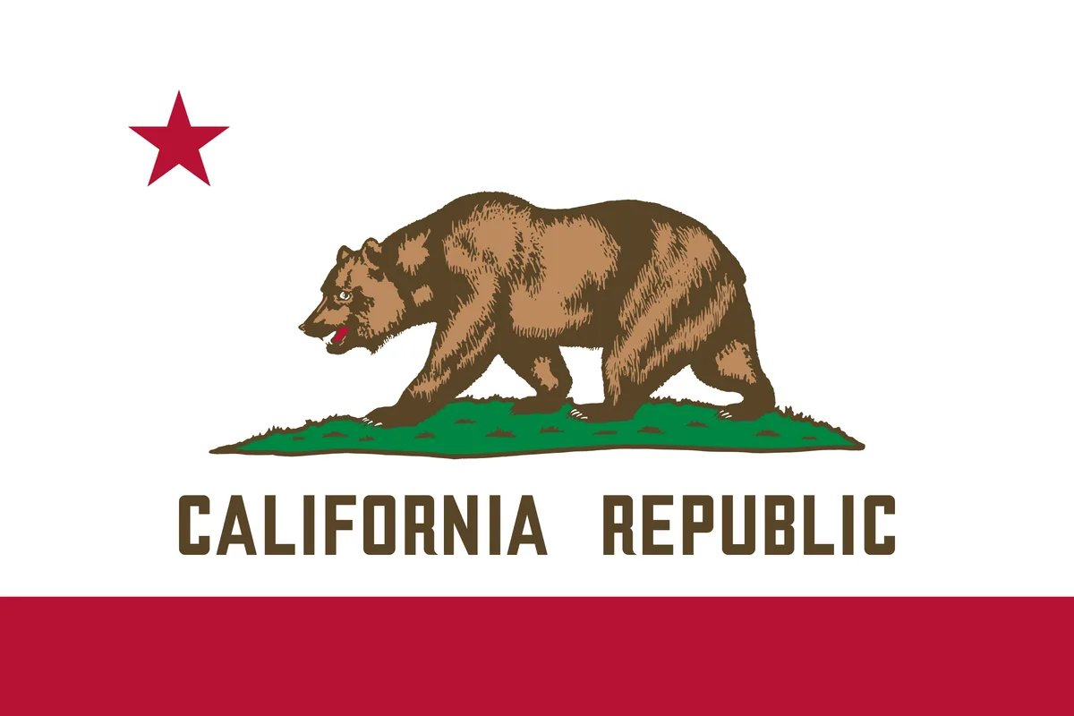USA Flags
