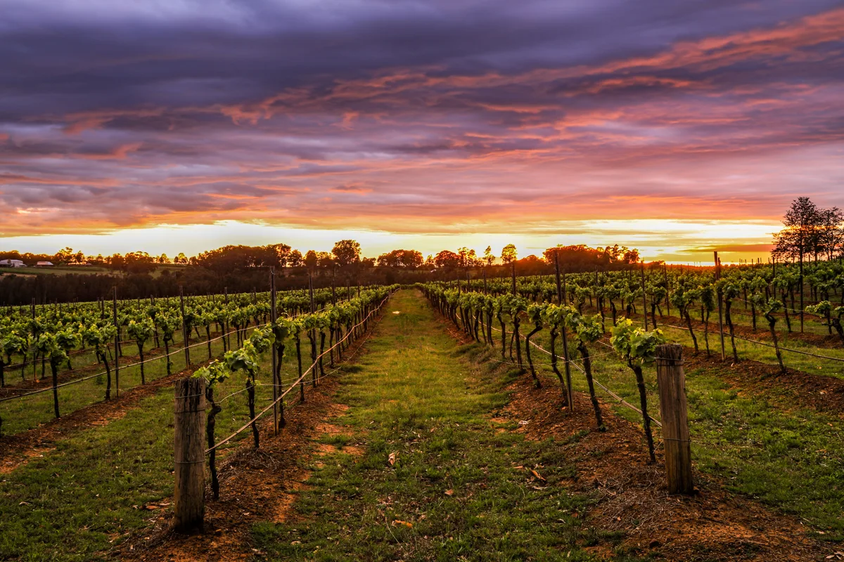 Hunter Valley