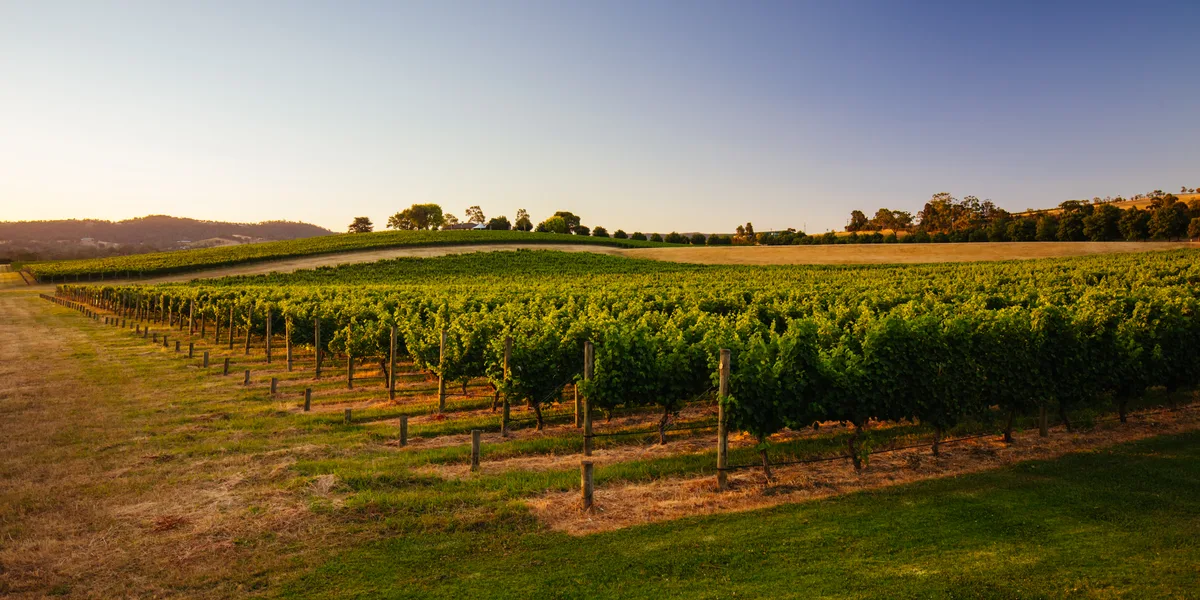 Yarra Valley