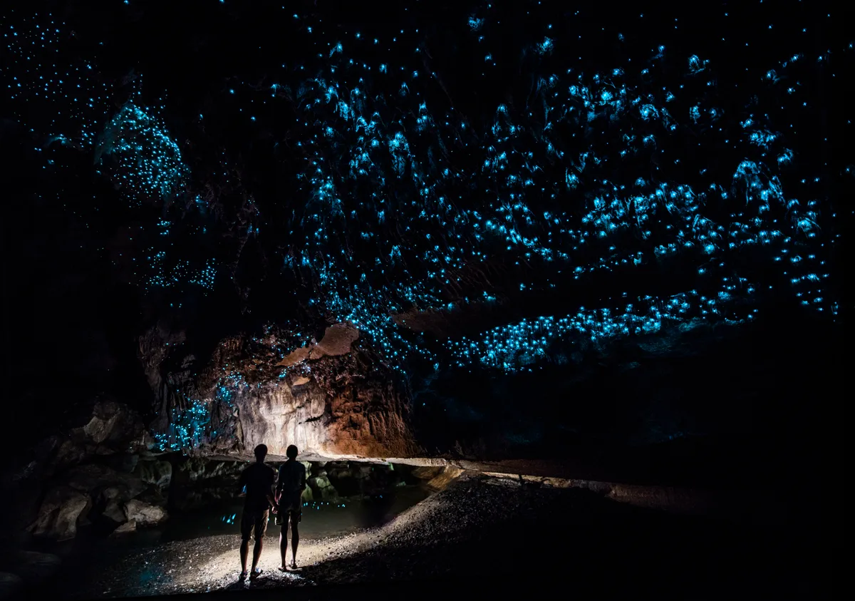 Waipu Cave