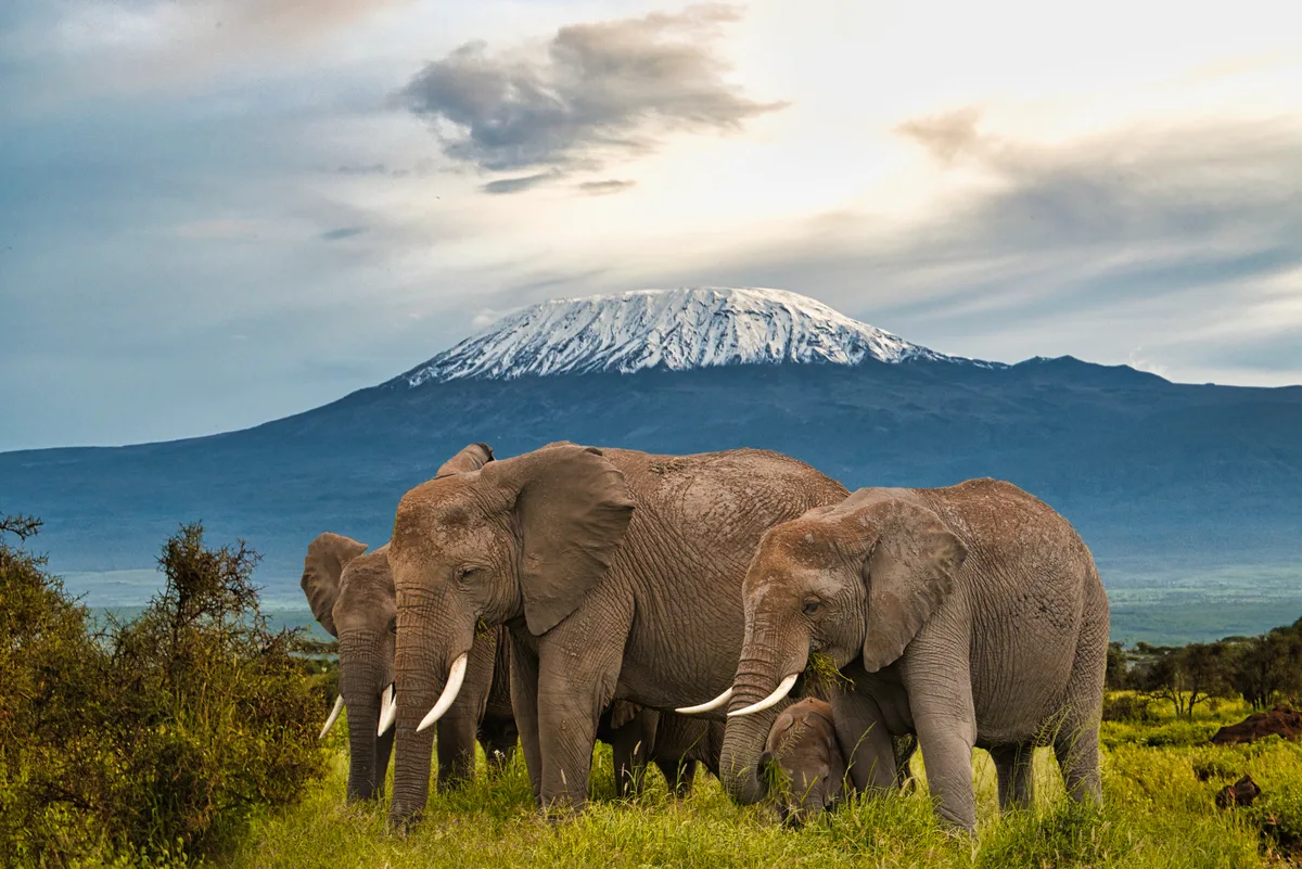 Kenya