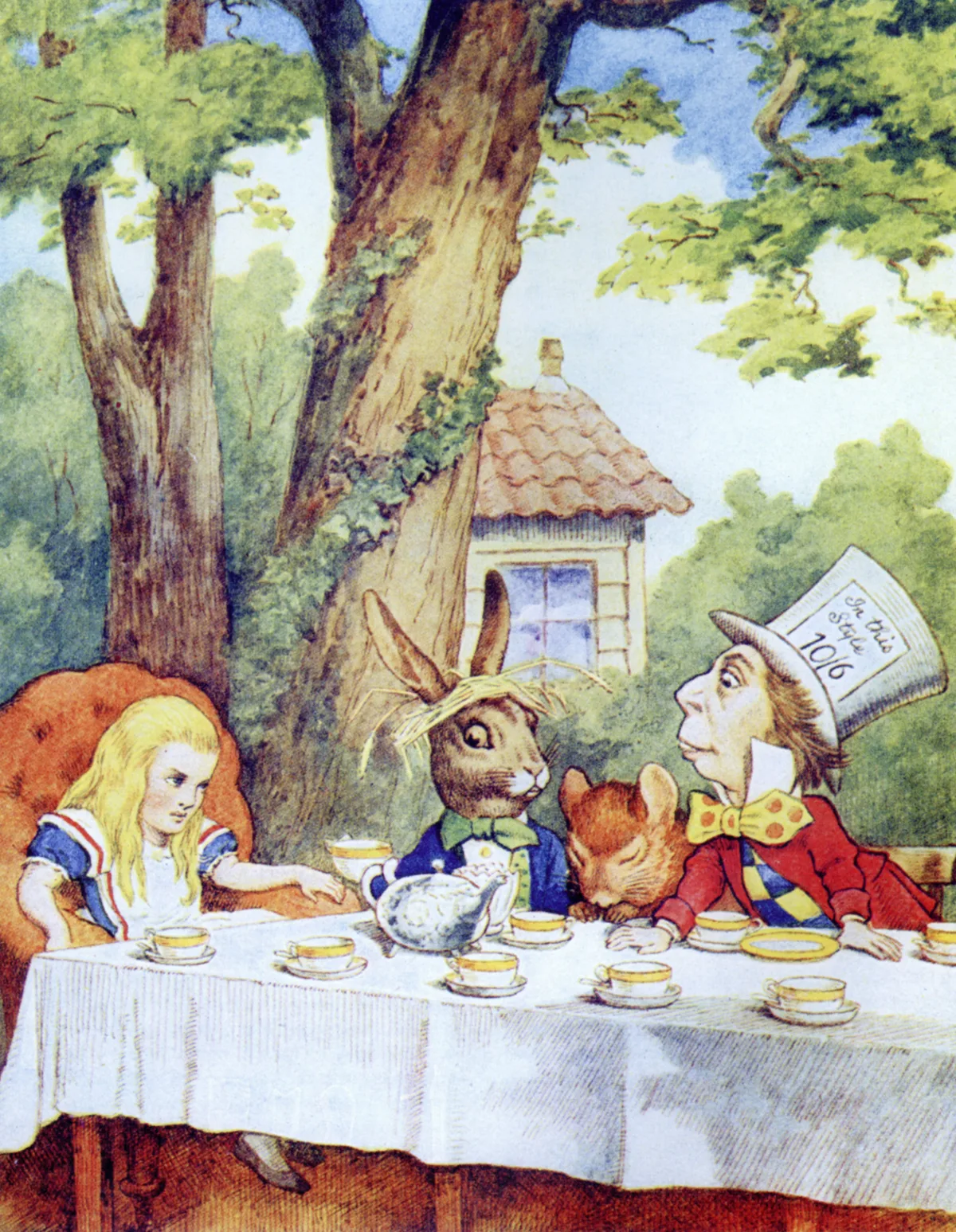 Book Illustrations