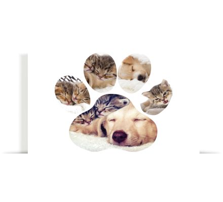 Metal Photo Collages - Silhouette at Canvas Factory