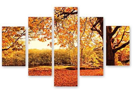 Photo Wall - Nature Split Image