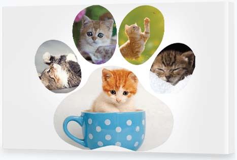 Birthday Present Ideas - Paw Print