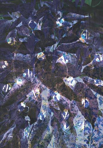 Thumbnail for original image